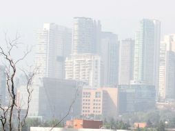 Agregan que 13 delegaciones de la Ciudad de México no tienen buenas condiciones. SUN / ARCHIVO