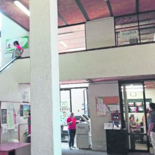 El Cedart hace maletas