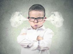 ¿Por qué creamos esos lazos de hierro con equipos, libros, grupos musicales o peinados? ¿Por qué nos sentimos personalmente ofendidos? EL INFORMADOR /