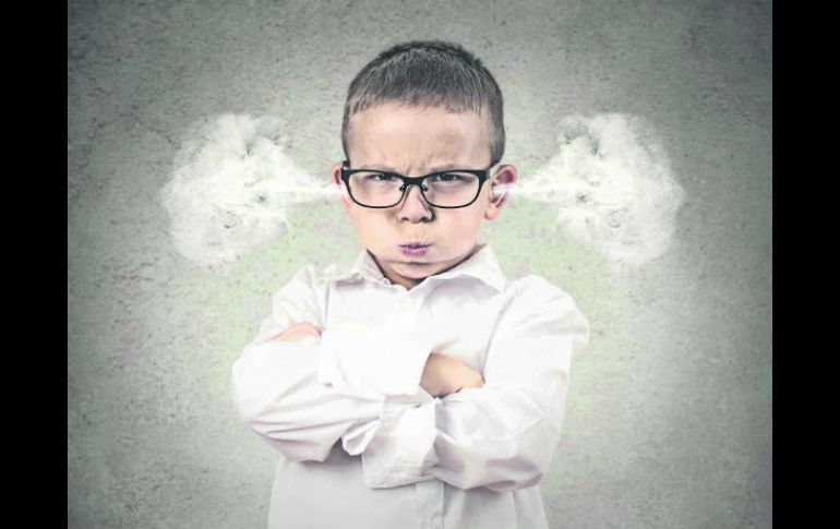 ¿Por qué creamos esos lazos de hierro con equipos, libros, grupos musicales o peinados? ¿Por qué nos sentimos personalmente ofendidos? EL INFORMADOR /