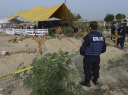 Se estima que los trabajos de exhumación llevarán, al menos, una semana más. SUN / ARCHIVO