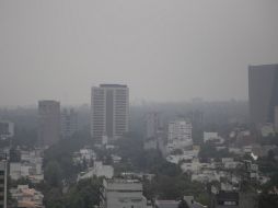 Indicó que le siguen Tlalpan con 141 puntos y Benito Juárez con 138 puntos. SUN / ARCHIVO