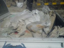 El joven fue sorprendido cuando colocaba los costales de cemento del tren en la caja trasera de una camioneta. ESPECIAL / Policía de San Pedro Tlaquepaque