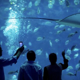 Disney amenaza con demandar a grupo Wanda