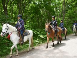 La búsqueda del menor continúa en un área de cinco kilómetros cuadrados en la que habitan osos salvajes. AP / I. Matshuashi