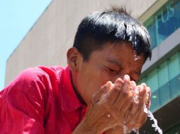 Con el calor repuntan los casos de diarreas agudas que generalmente son consecuencia de alimentos contaminados. EL INFORMADOR / ARCHIVO