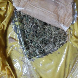 Aseguran dos toneladas de mariguana en Tequila y Hostotipaquillo