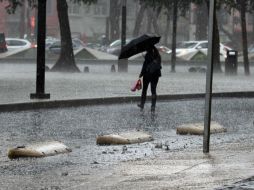 Se pronostican lluvias y fuertes rachas de viento en diferentes regiones del estado. SUN / ARCHIVO