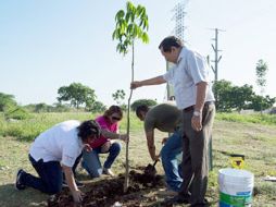 Estaes una acción de mejoramiento ambiental y de concientización ecológica. ESPECIAL /