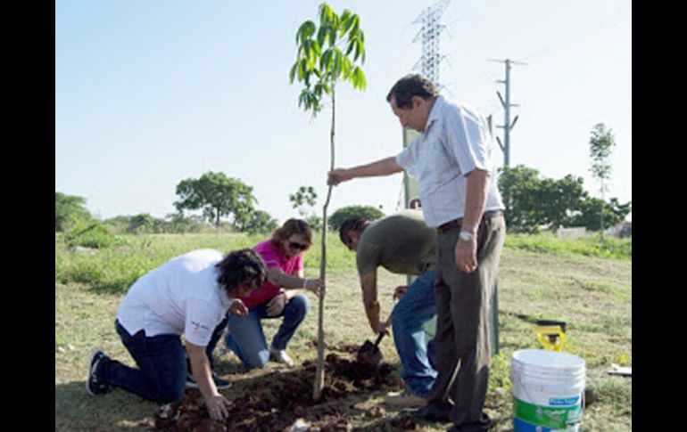 Estaes una acción de mejoramiento ambiental y de concientización ecológica. ESPECIAL /