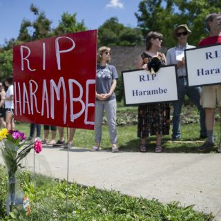 Acosan a madre de niño implicado en muerte del gorila Harambe