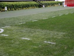 Uno de los ajustes es el de permitir las canchas de pasto mixto, es decir, podrán unirse césped sintético y natural en los estadios. EL INFORMADOR / ARCHIVO