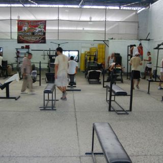 Quedarían libres 32 reos por portación de mariguana