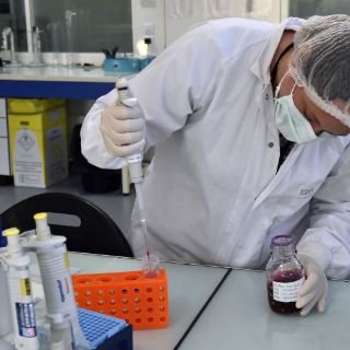 Revelan proyecto para crear genoma humano sintético