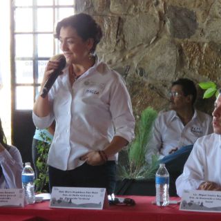 Reforestarán 108 hectáreas del Cerro de la Reina