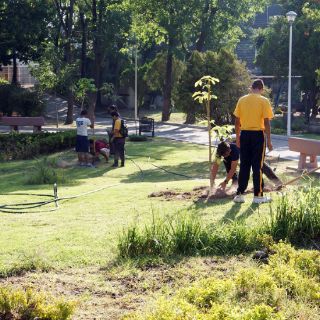 Jóvenes participan en reforestación de Guadalajara