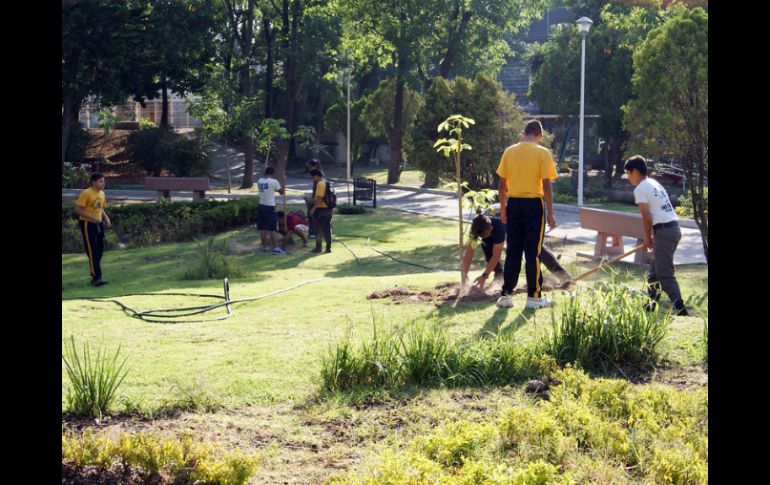 La organización Extra A.C. da árboles a las personas que llegaron con el compromiso de cuidarlos y estar al pendiente de ellos. ESPECIAL / Gobierno de Guadalajara