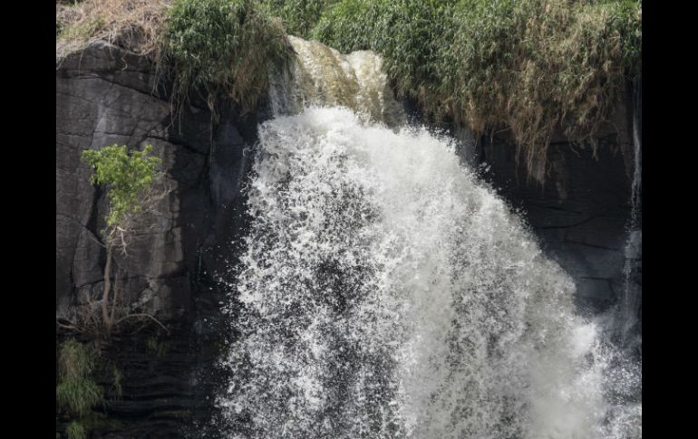 Esta acción busca resolver el problema de acumulación de contaminantes en el medio ambiente. EL INFORMADOR / ARCHIVO
