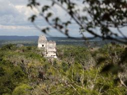Este incendio podría afectar parte del patrimonio de la zona maya de Petén. EFE / E. Biba