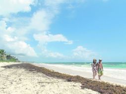 Irresistible. Las playas de Tulum son reconocidas por su belleza incomparable. NTX /