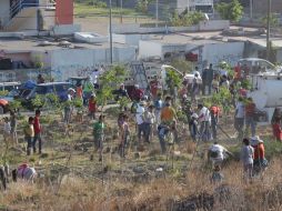 La reforestación se efectuó en el marco del Día Internacional del Medio Ambiente. ESPECIAL /