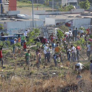 Plantan 40 mil árboles en distintas zonas de Tlajomulco
