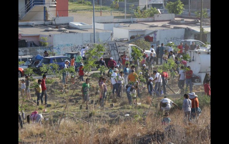 La reforestación se efectuó en el marco del Día Internacional del Medio Ambiente. ESPECIAL /