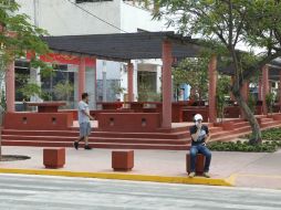 Se rehabilitaron cinco mil 500 metros cuadrados de jardinería, además de muros verdes en las estaciones del Tren Ligero. EL INFORMADOR / A. Camacho