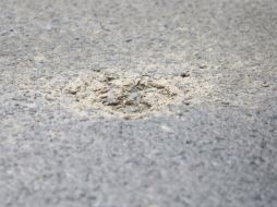 La bomba sólo le provocó una contusión en el brazo izquierdo al otro elemento. EL INFORMADOR / ARCHIVO