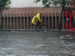 Se espera que las lluvias comienzan alrededor del día 12 de este mes de junio. EL INFORMADOR / ARCHIVO