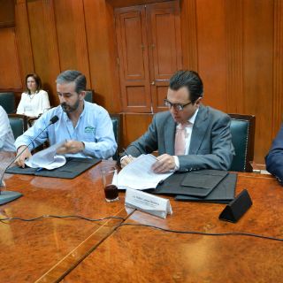 Plantarán 150 mil árboles en Zapopan