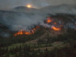 En el combate de este incendio participan 120 efectivos de la Sedena. EFE / ARCHIVO