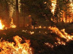 Hasta ahora todos los incendios del estado han sido provocados por descuidos. NTX / ARCHIVO