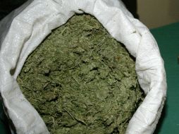 Dentro de la camioneta se encontraba una bolsa de plástico con mariguana. EL INFORMADOR / ARCHIVO