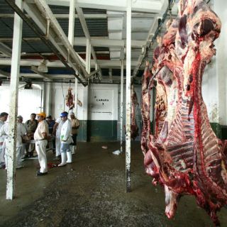 Clausuran rastro de Zapopan, hallan reses con clembuterol