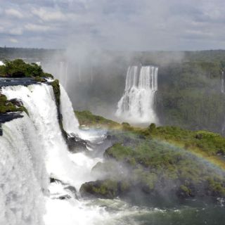 Reserva del Pantanal muestra la exuberancia de Brasil