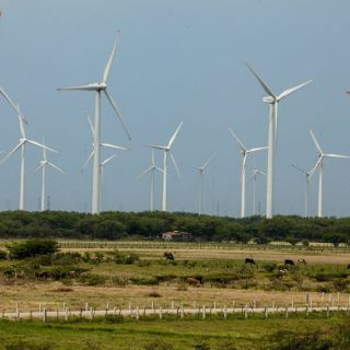 Energías renovables se desarrollarán masivamente en Europa