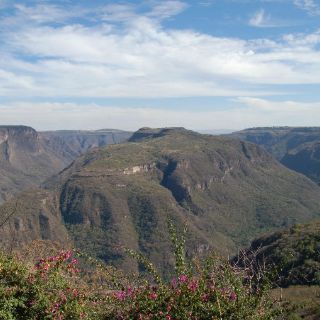 Piden declarar Área Natural Protegida la Barranca de Huentitán