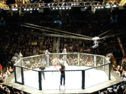 El evento es organizado por Artes Marciales Mixtas de México y la empresa de espectáculos Cage Fight Night. ESPECIAL / ammxpro.com