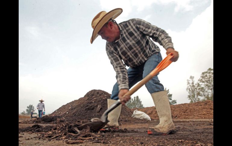 Se busca que campesinos usen abonos naturales y no nitratos o fosfatos que después contaminan la laguna. EL INFORMADOR / M. Vargas
