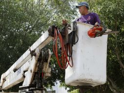 Según el informe, las nuevas políticas tendrían que centrarse en protección social y calidad laboral, entre otras cosas. EL INFORMADOR / ARCHIVO