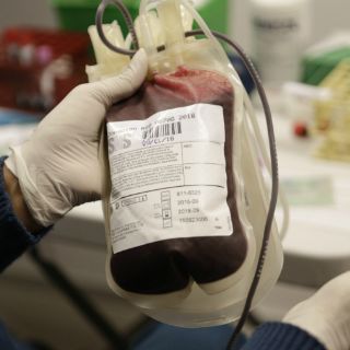 Aún es limitada la cultura de donación de sangre en México