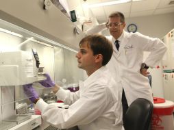 Un grupo de investigadores de Tennessee llevó a cabo un análisis comparativo a lo largo de 13 años, entre 1999 y 2012. EFE / ARCHIVO