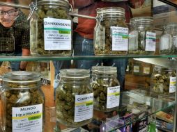 Al retirar la prohibición del uso de mariguana quedan incluidos el TCH y la nabilon. AP / ARCHIVO