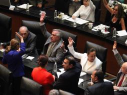 La Cámara Alta del Senado remitió las minutas a la Cámara de Diputados. SUN / L. Godínez