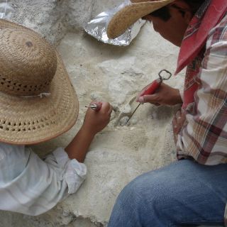 Encuentran piezas de oro vikingo en Dinamarca