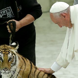 El Papa Francisco recibe a artistas circenses