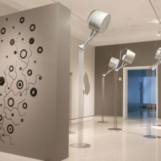 Arte contemporáneo sobre el medio ambiente y la política en el Musa