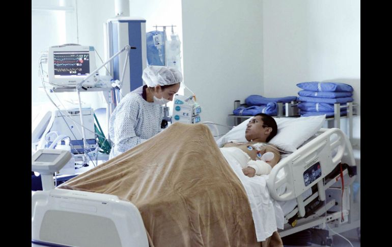 Indican que los probióticos ayudan a restaurar la microbiota, que antes se llamaba flora intestinal. EL INFORMADOR / ARCHIVO