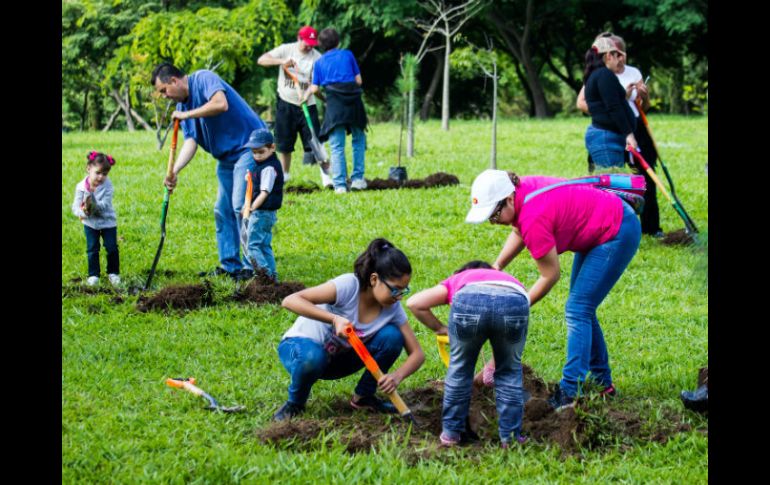 Buscan evitar la degradación de suelos, pues se pierden nutrientes que permiten desarrollar actividades productivas. EL INFORMADOR / ARCHIVO